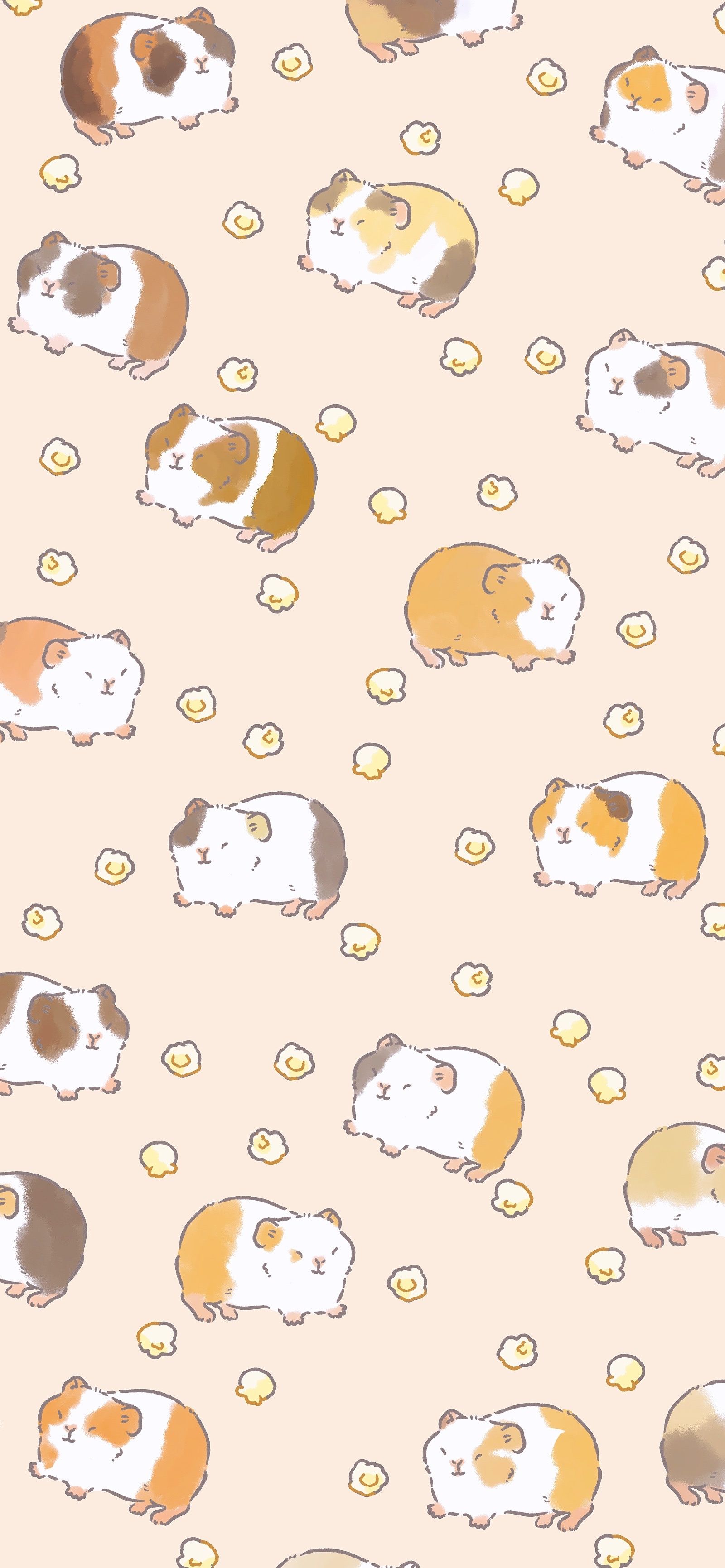 cute guinea pig wallpapers 0015