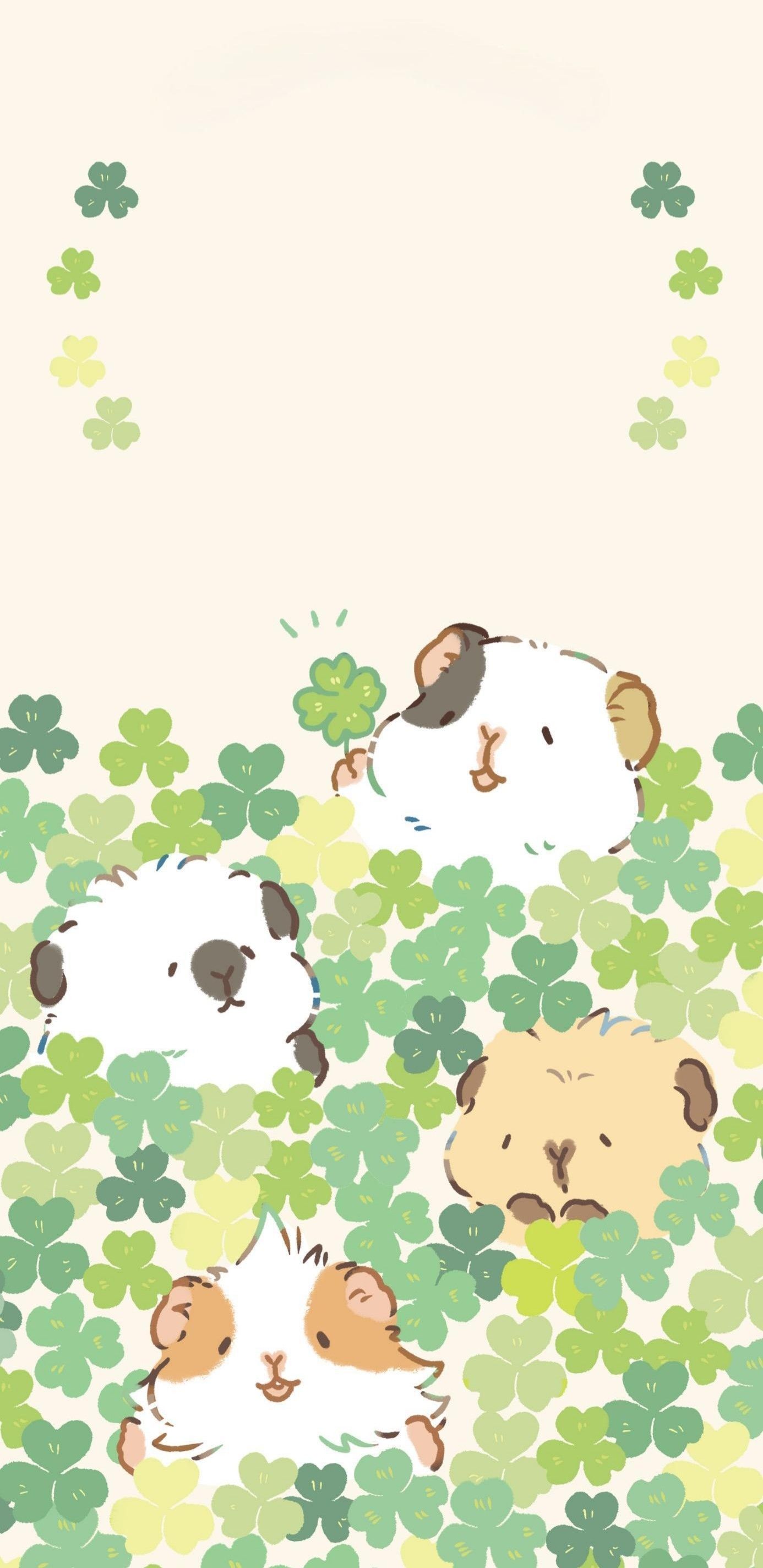 cute guinea pig wallpapers 0066