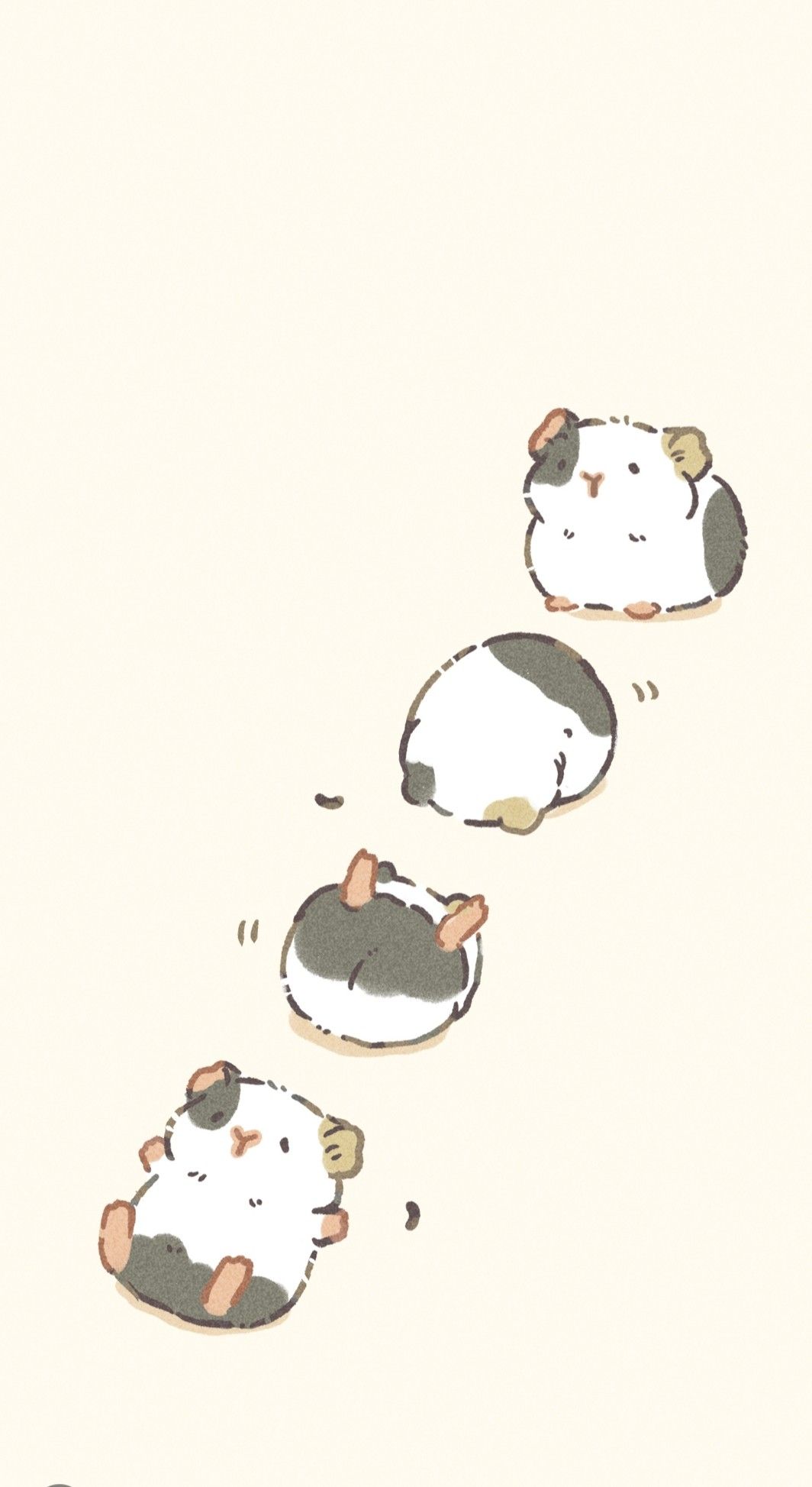 cute guinea pig wallpapers 0068