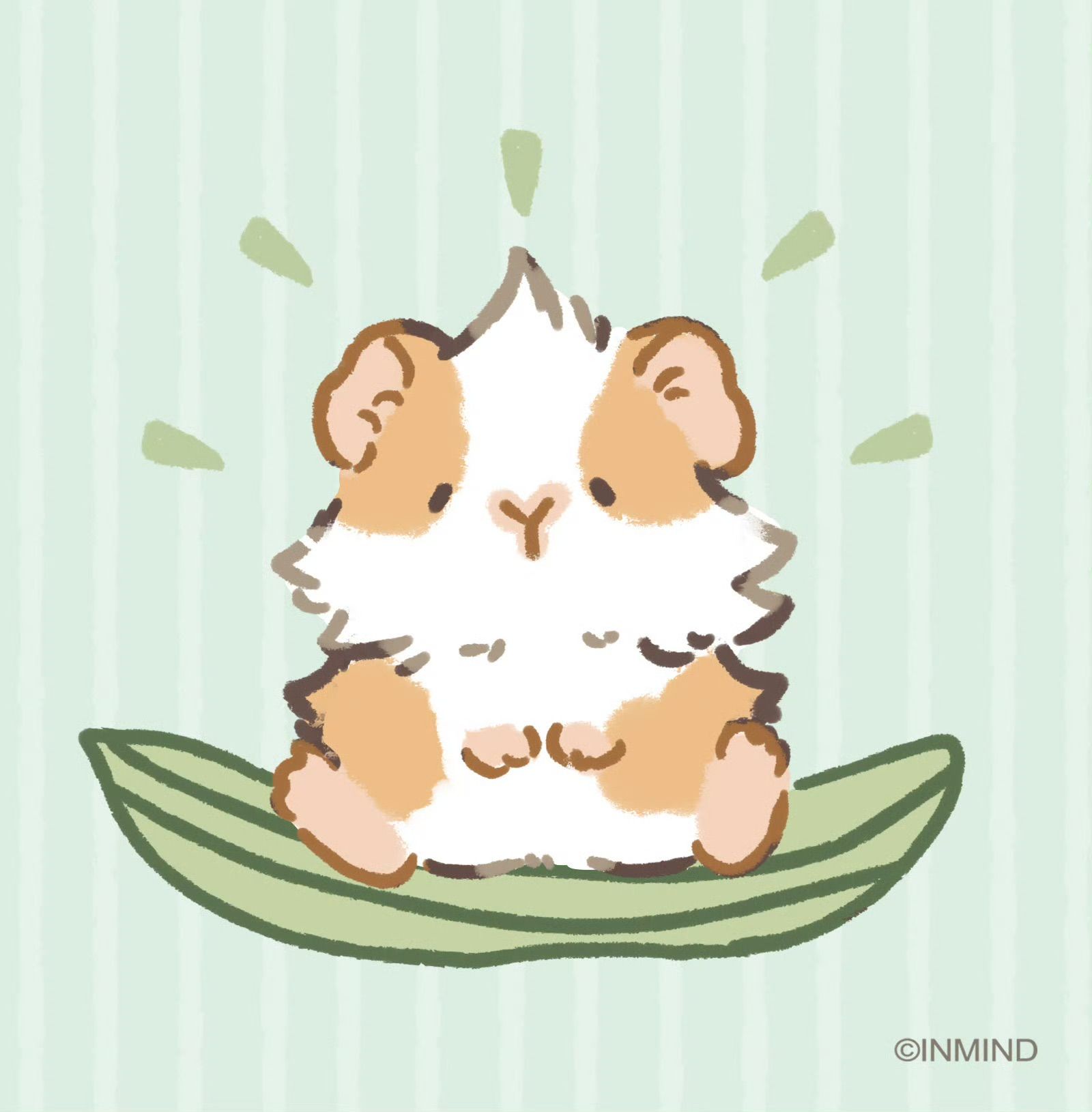 cute guinea pig wallpapers 0071