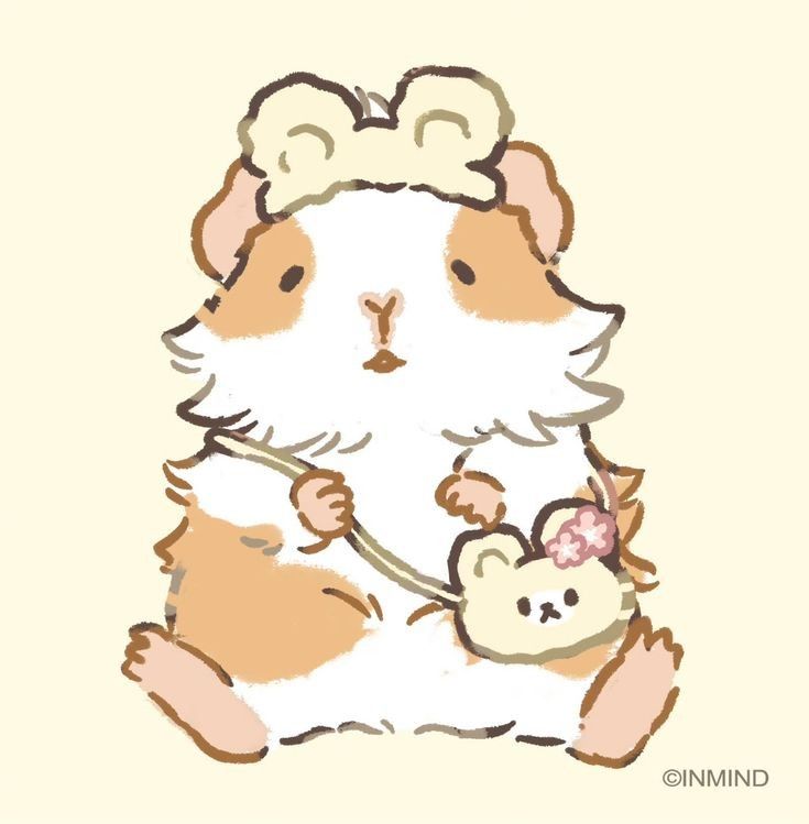 cute guinea pig wallpapers 0080