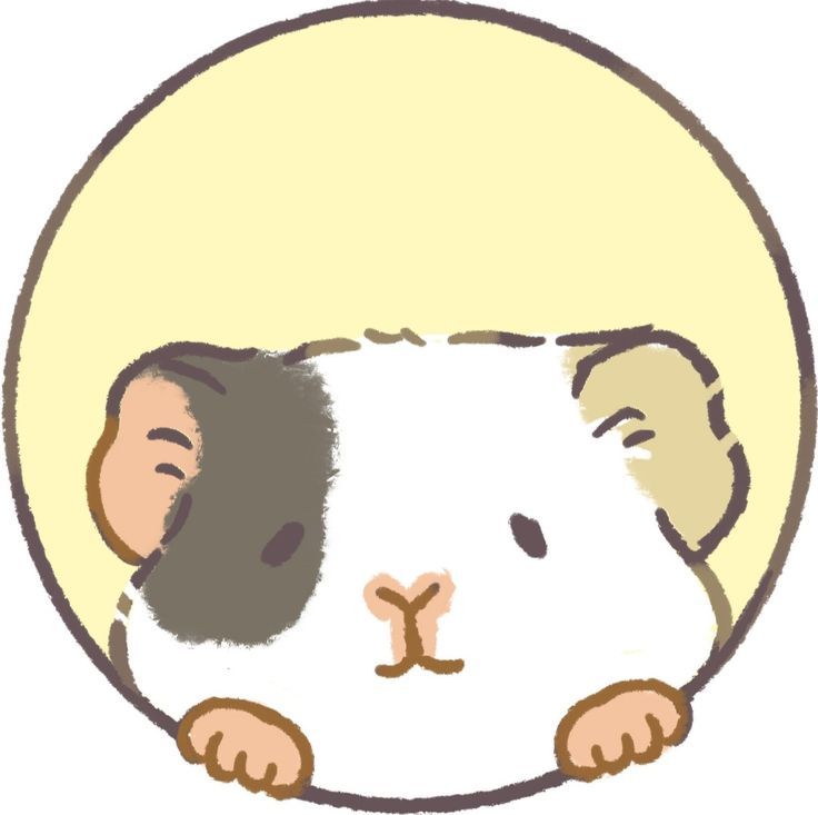 cute hamster wallpapers 0013