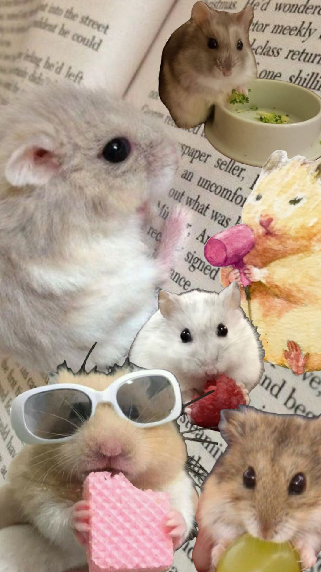 cute hamster wallpapers 0020