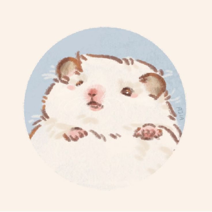 cute hamster wallpapers 0021