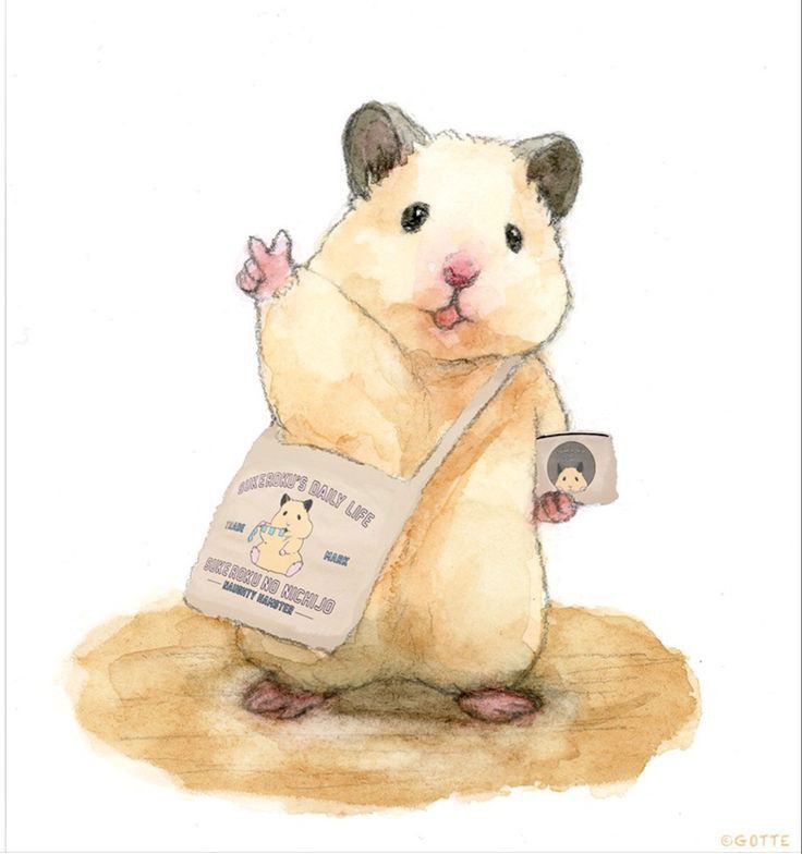 cute hamster wallpapers 0031