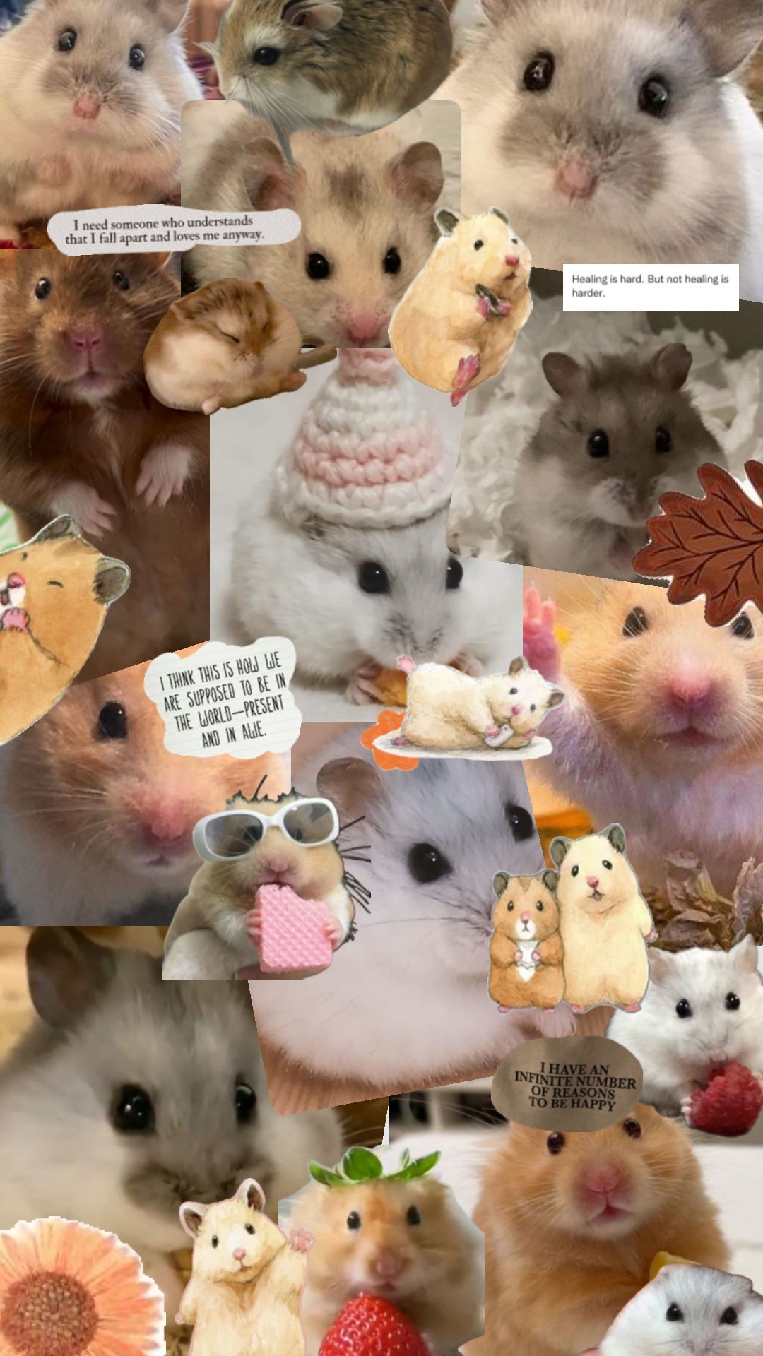 cute hamster wallpapers 0037