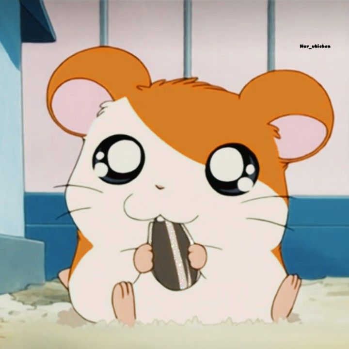 cute hamster wallpapers 0040