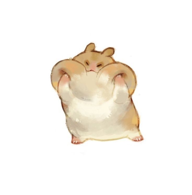 cute hamster wallpapers 0063