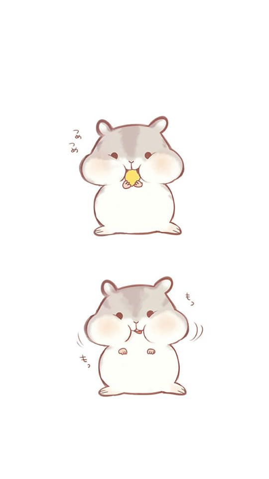 cute hamster wallpapers 0074