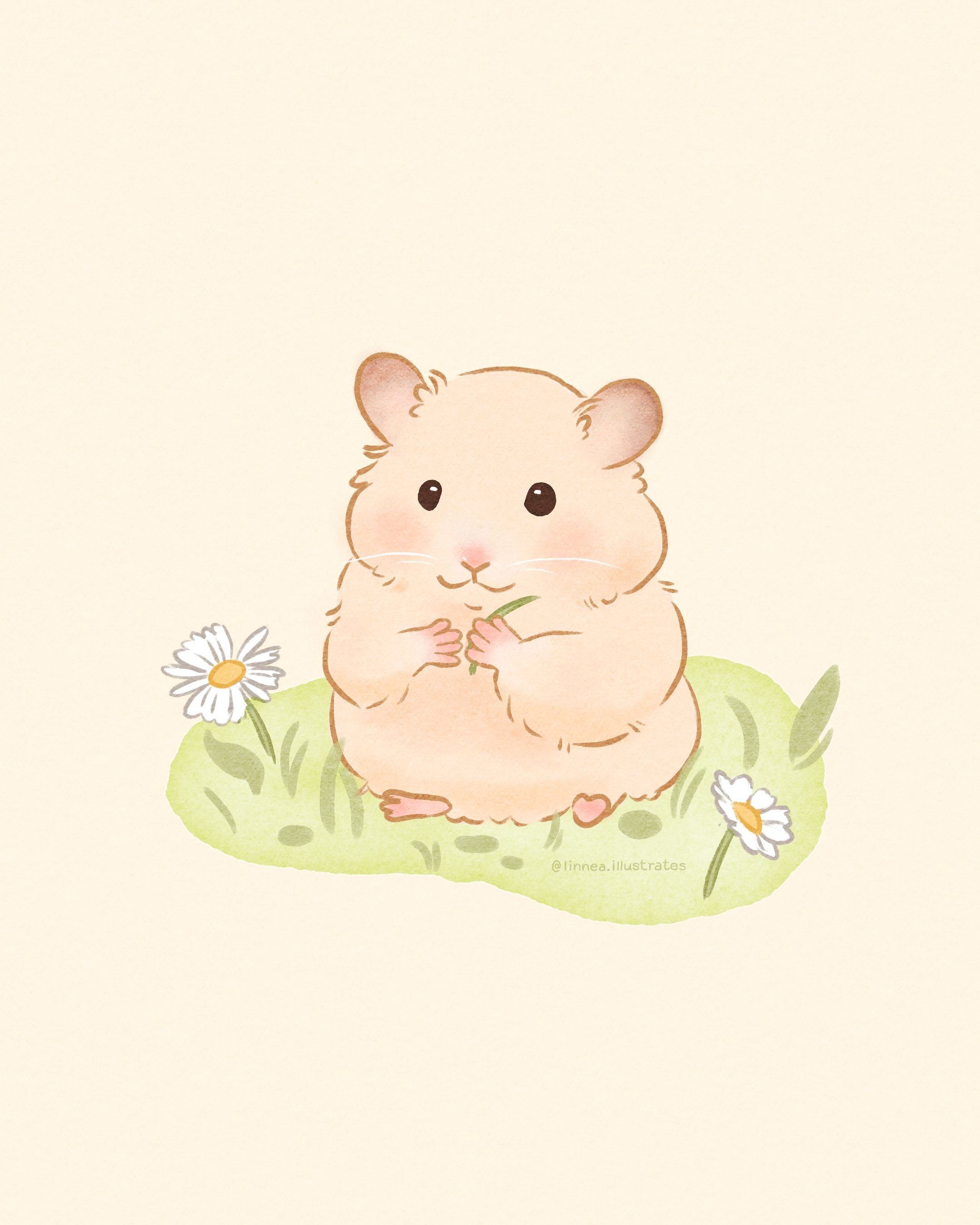 cute hamster wallpapers 0088