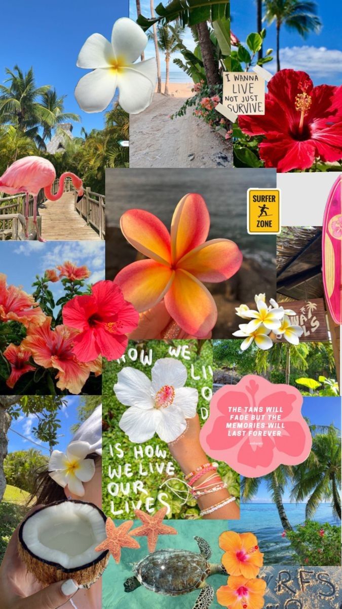 cute Hawaiian wallpapers 0090