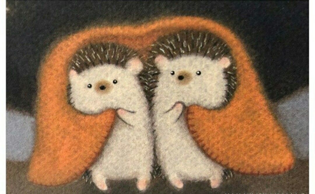 cute hedgehog wallpapers 0027