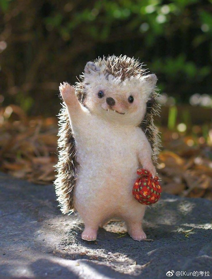 cute hedgehog wallpapers 0073