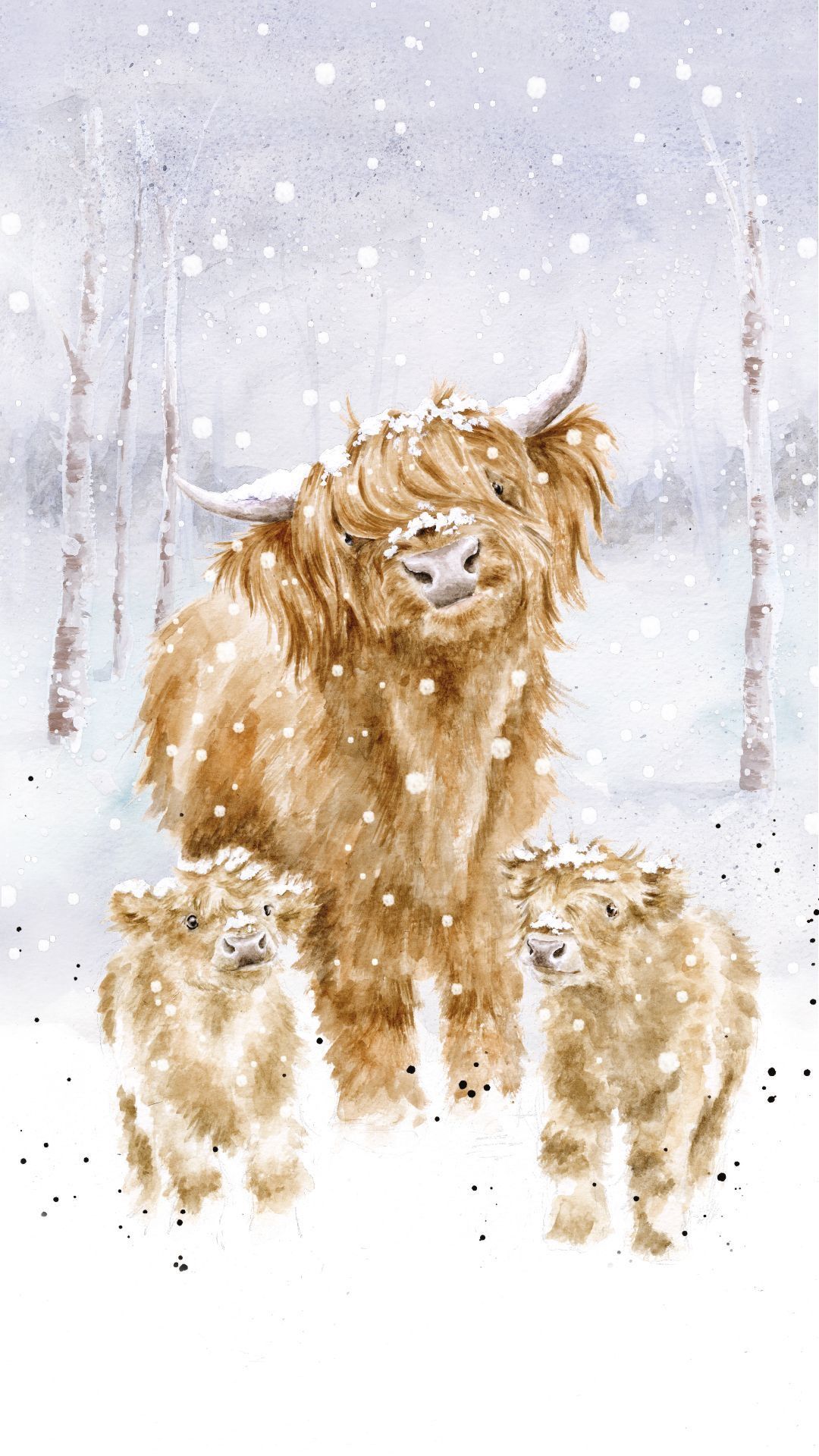 cute highland cow wallpapers 0095