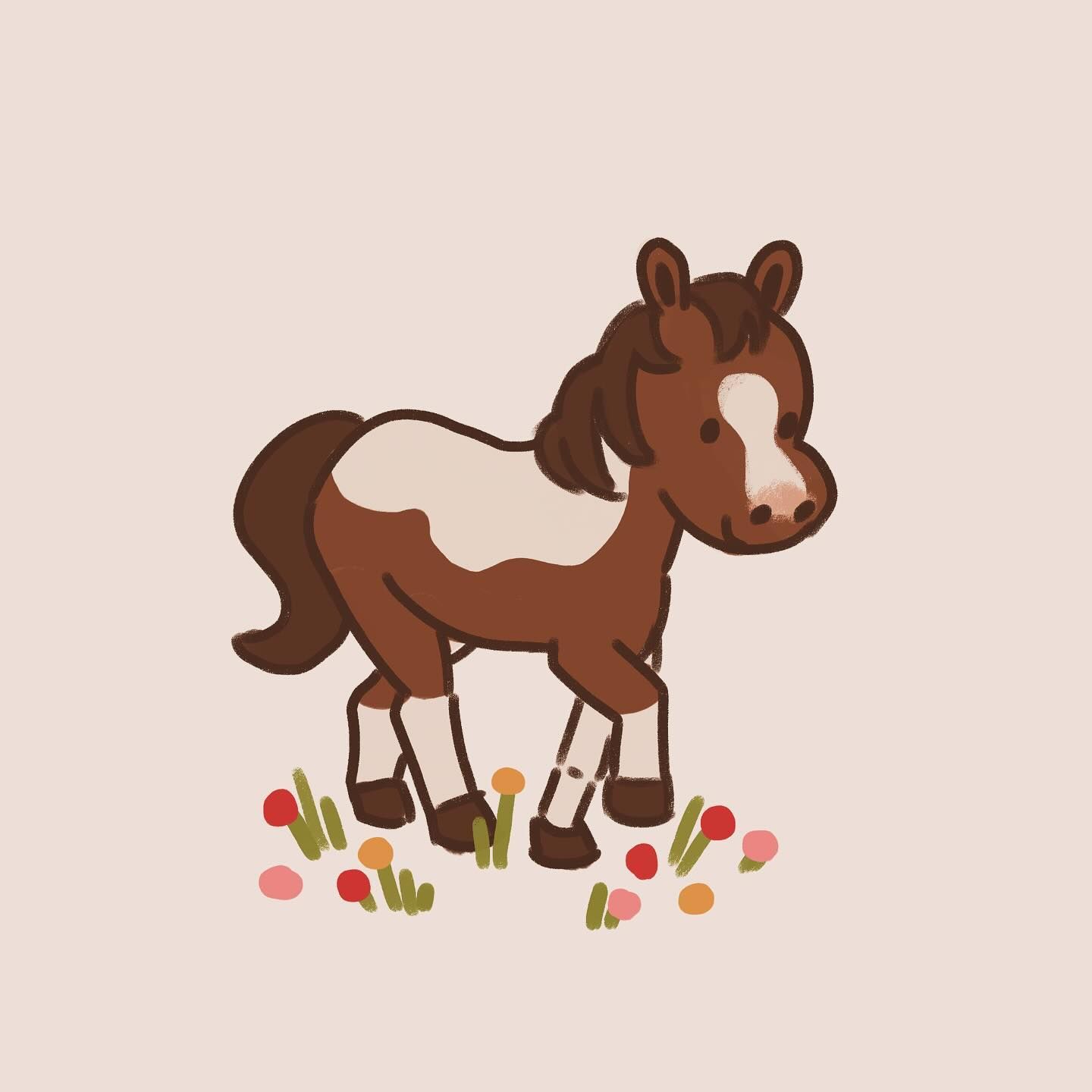 cute horse wallpapers 0056