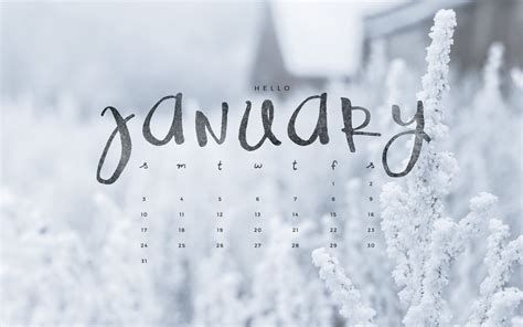 cute january wallpapers 0009