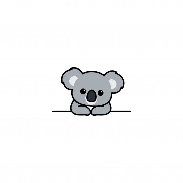 cute koala wallpapers for animal lovers