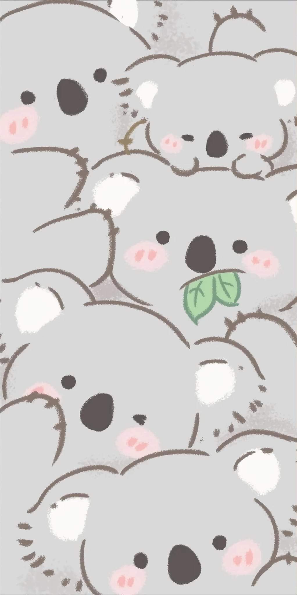 cute koala wallpapers 0026