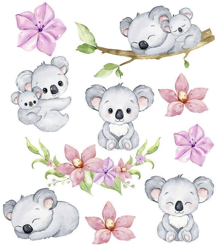 cute koala wallpapers 0060