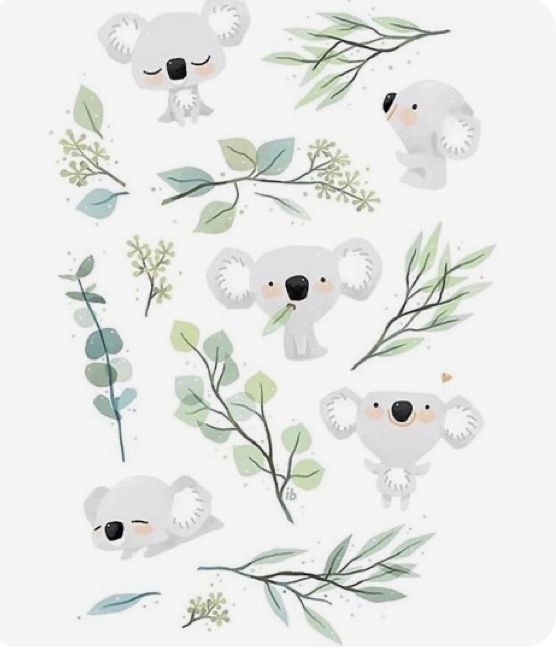 cute koala wallpapers 0071