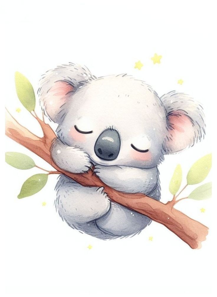 cute koala wallpapers 0079