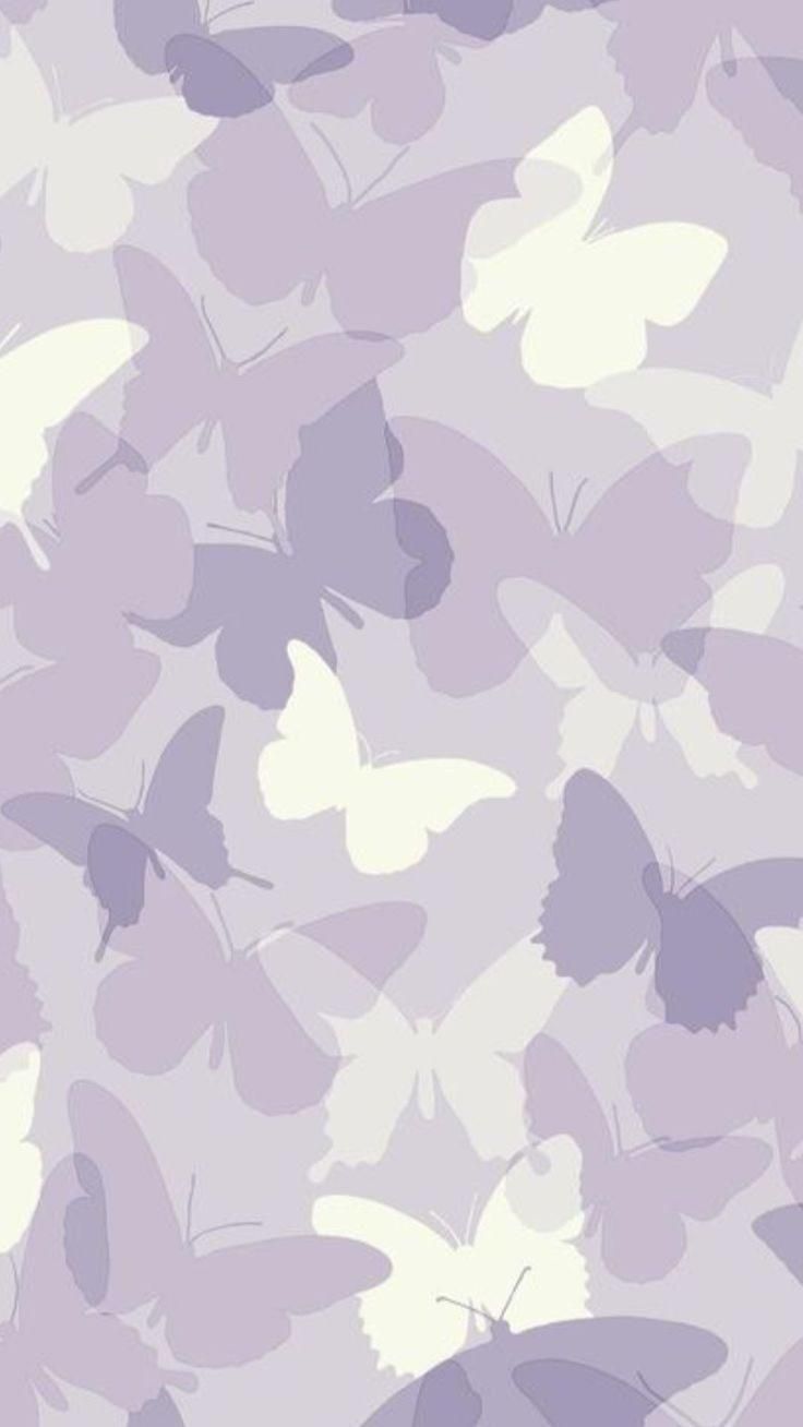 cute lilac wallpapers 0056