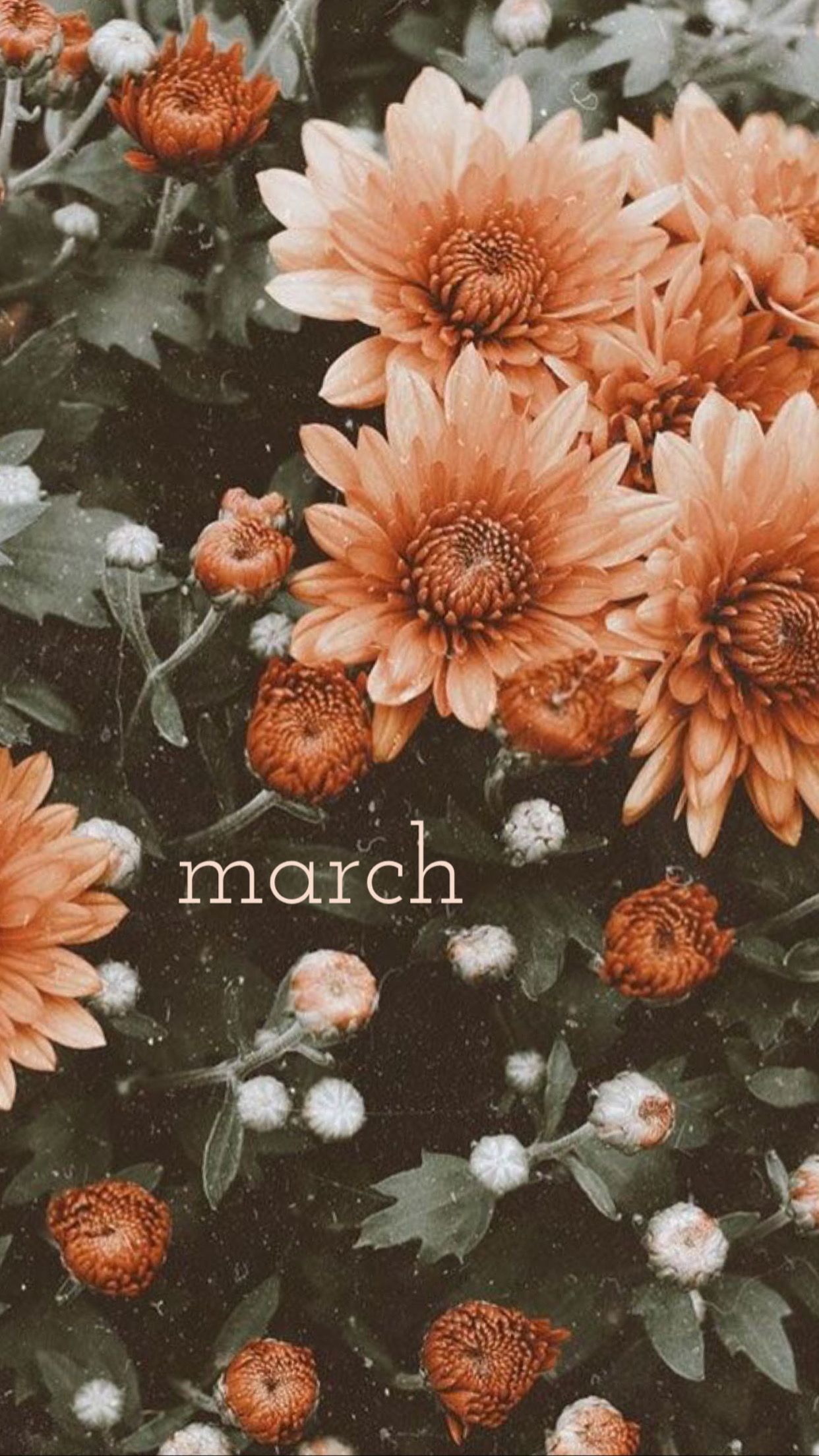 cute march wallpapers 0081