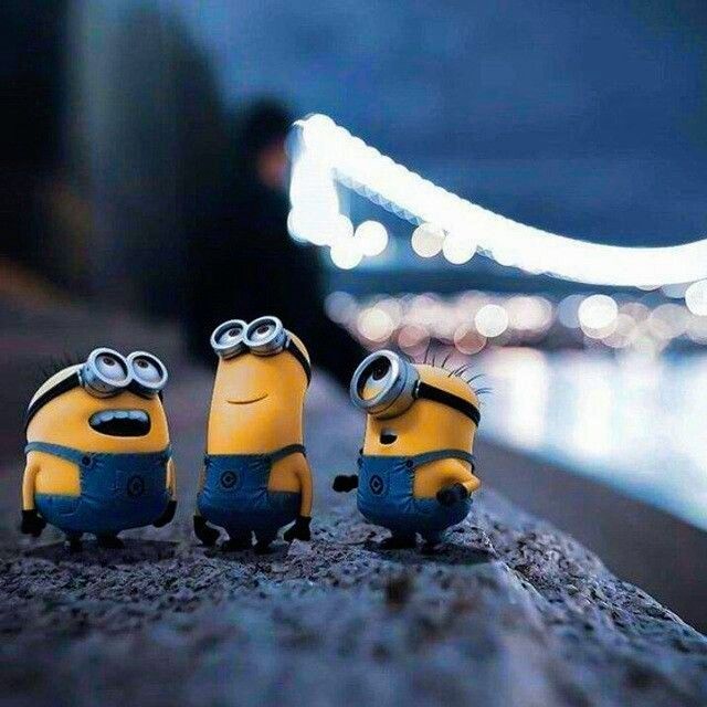 cute Minion wallpapers 0013