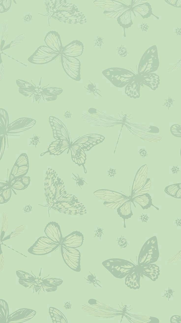 cute mint green wallpapers 0042