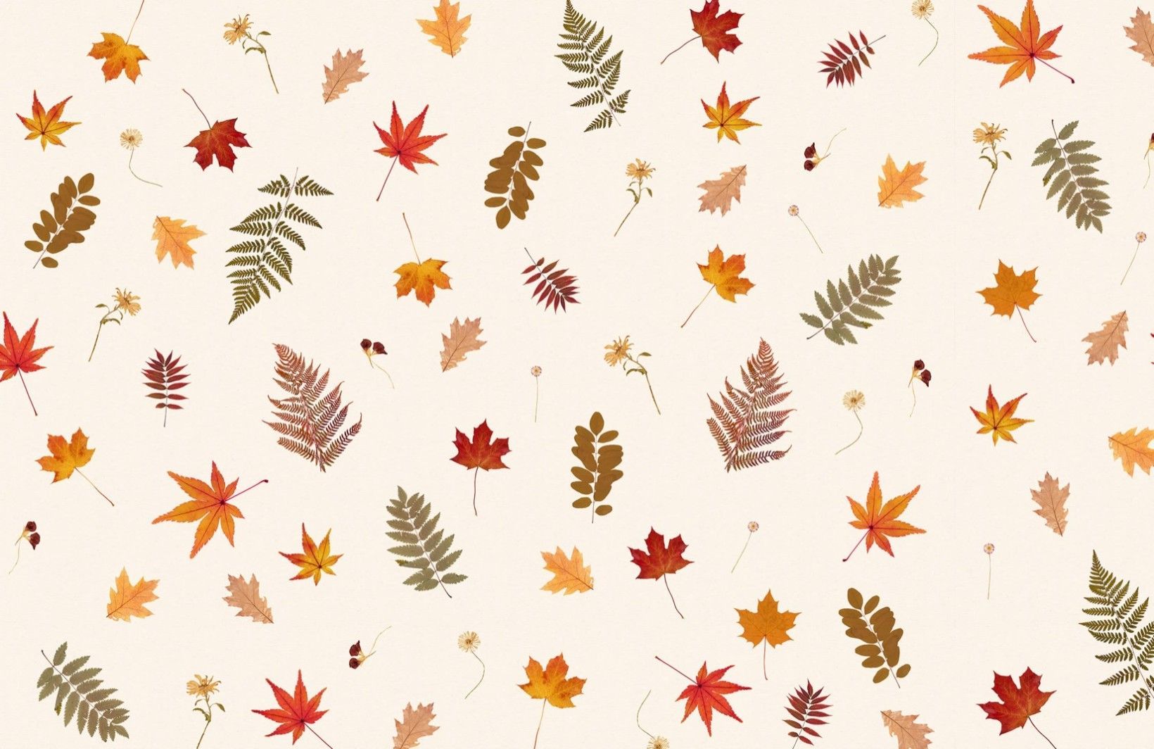 cute november wallpapers for tablets