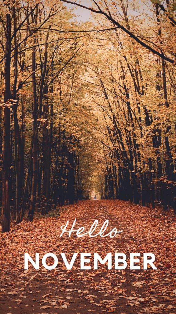 cute november wallpapers 0099