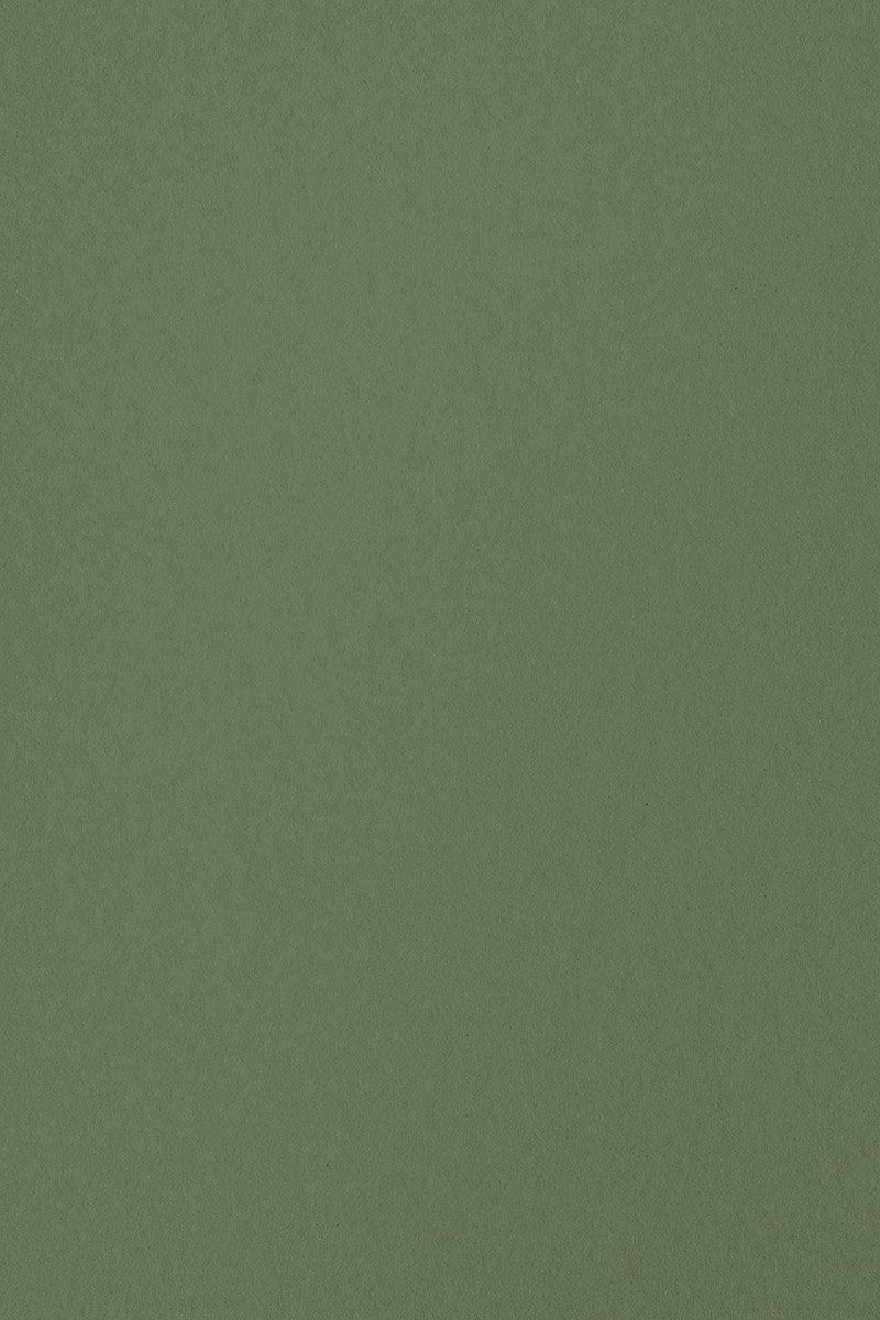 cute olive green wallpapers 0013