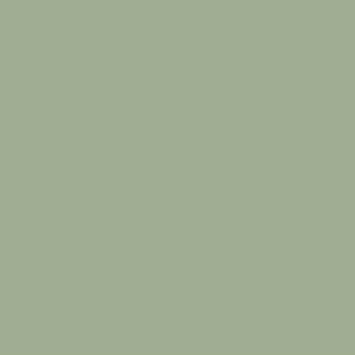 cute olive green wallpapers 0025