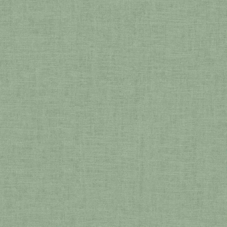 cute olive green wallpapers 0027