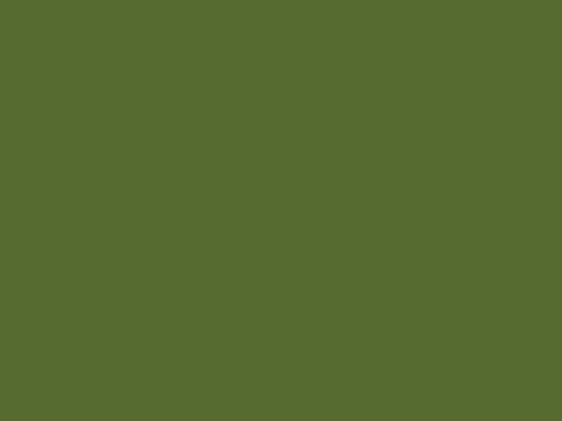 cute olive green wallpapers 0038