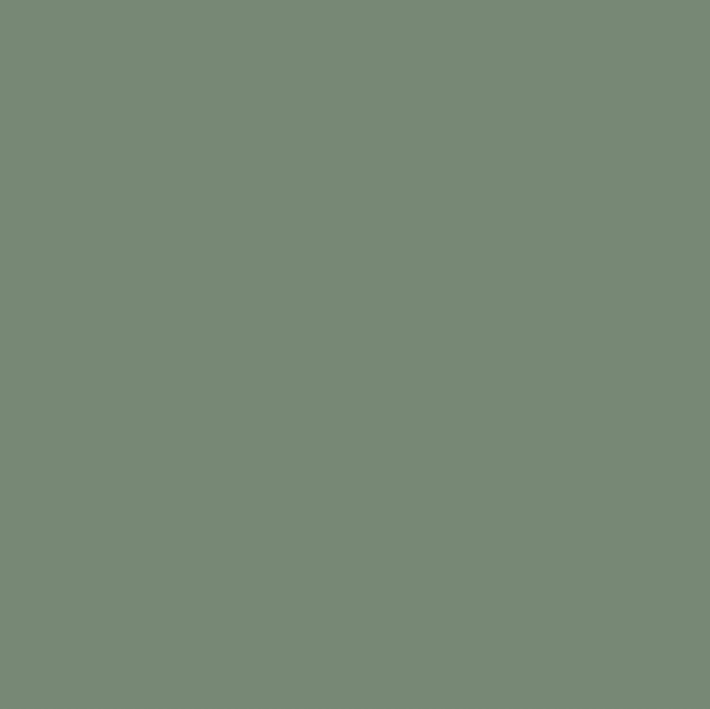 cute olive green wallpapers 0043