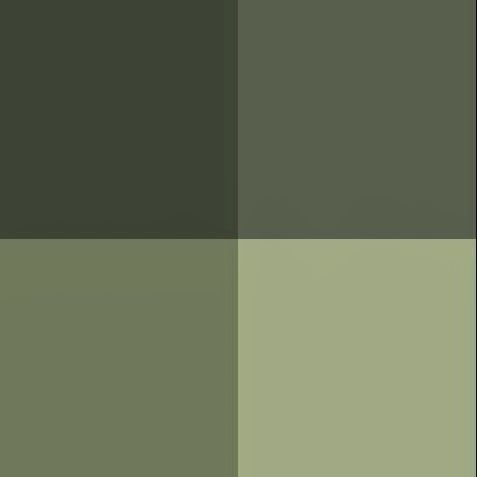 cute olive green wallpapers 0063