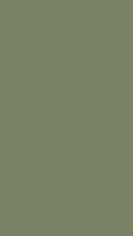 cute olive green wallpapers 0069