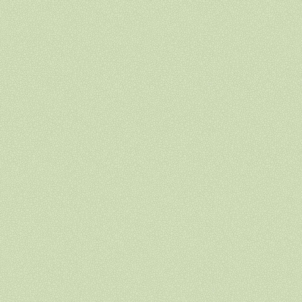 cute olive green wallpapers 0079