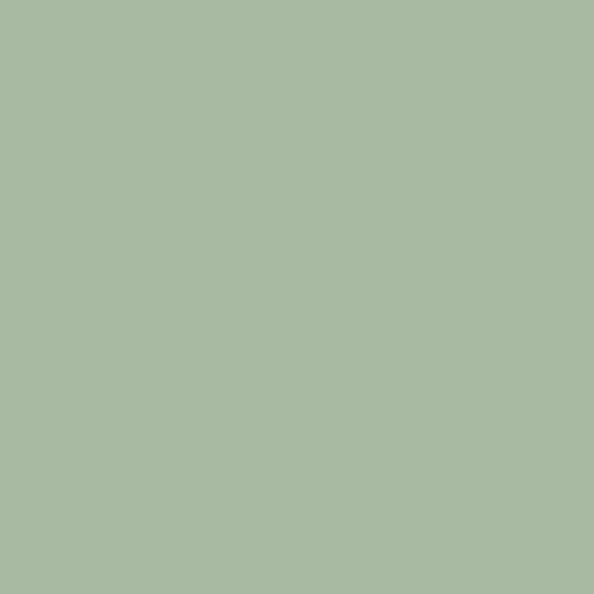 cute olive green wallpapers 0089