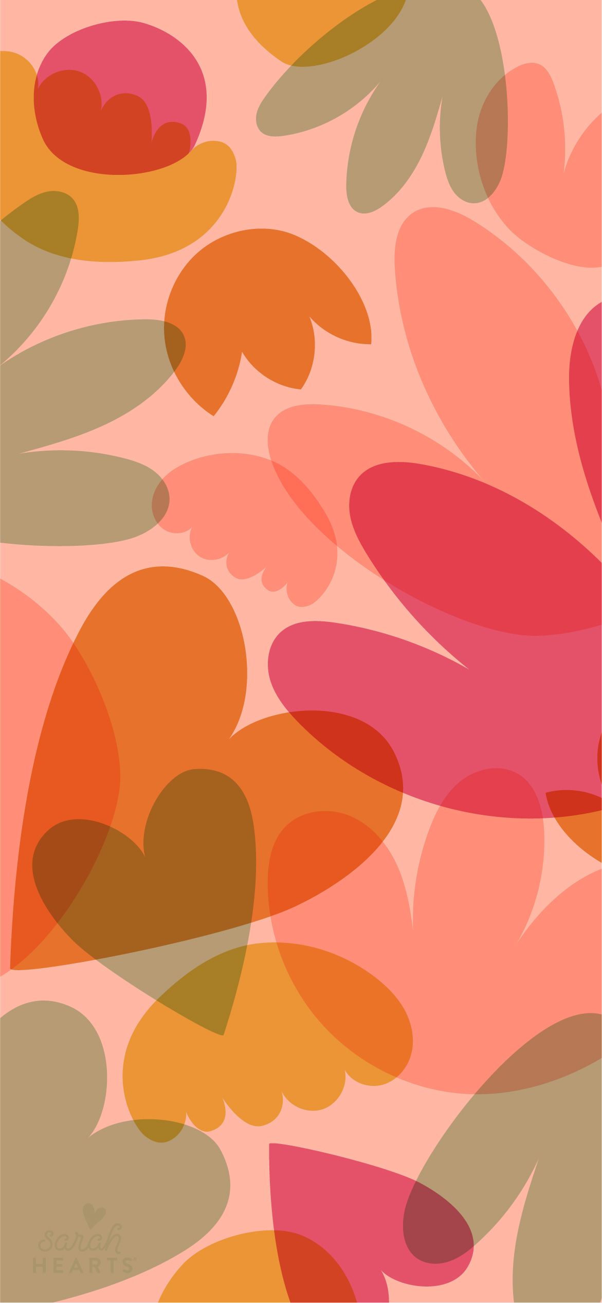 cute orange wallpapers 0068