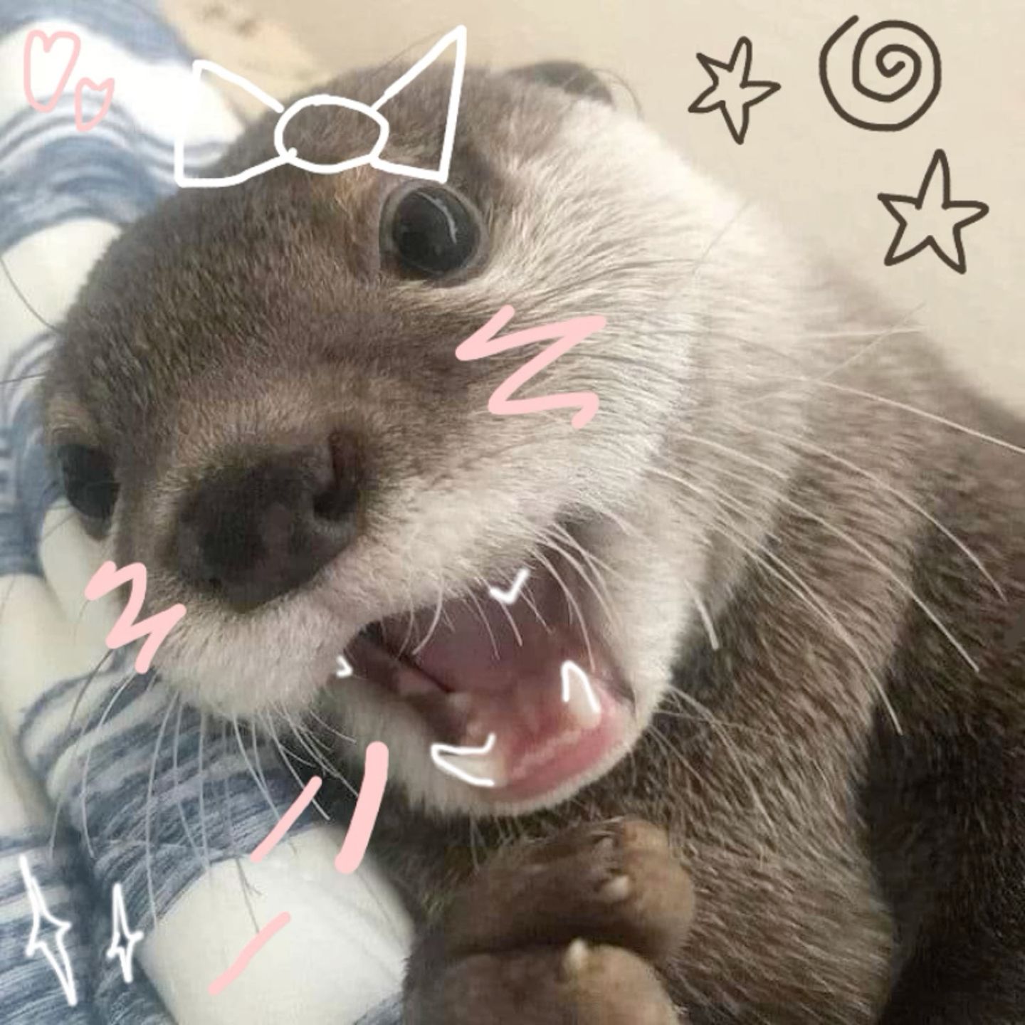 cute otter-themed desktop wallpapers