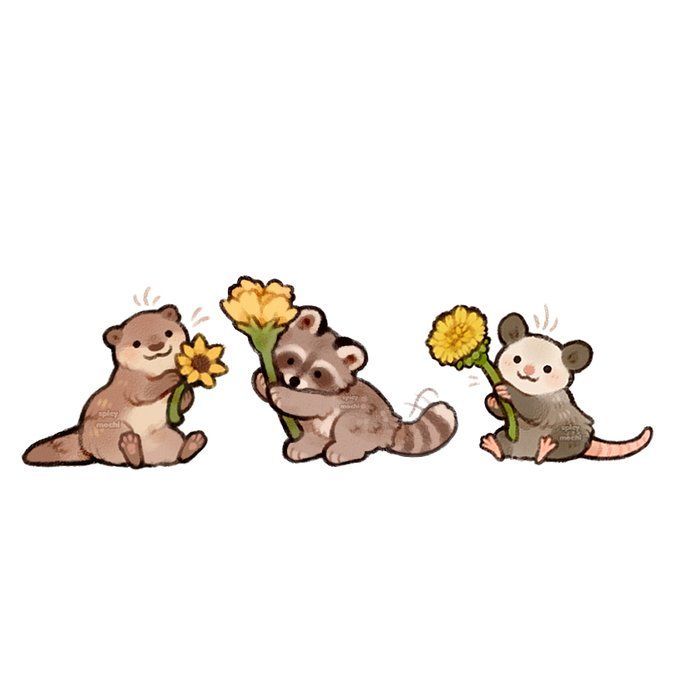 cute otter wallpapers 0023