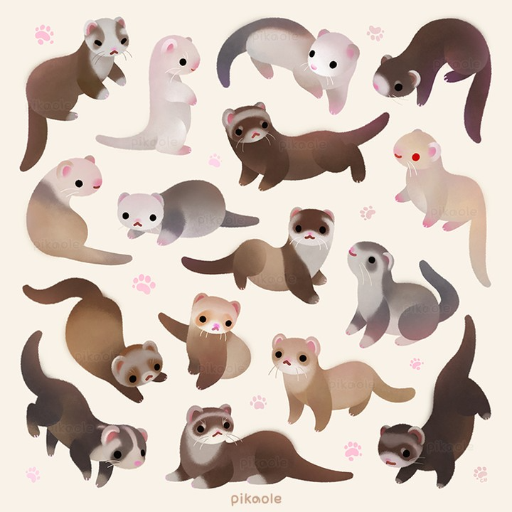 cute otter wallpapers 0061