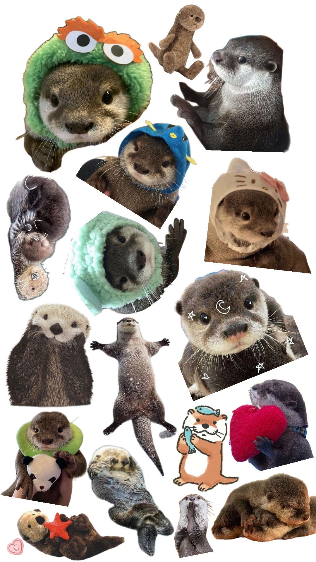 cute otter wallpapers 0075