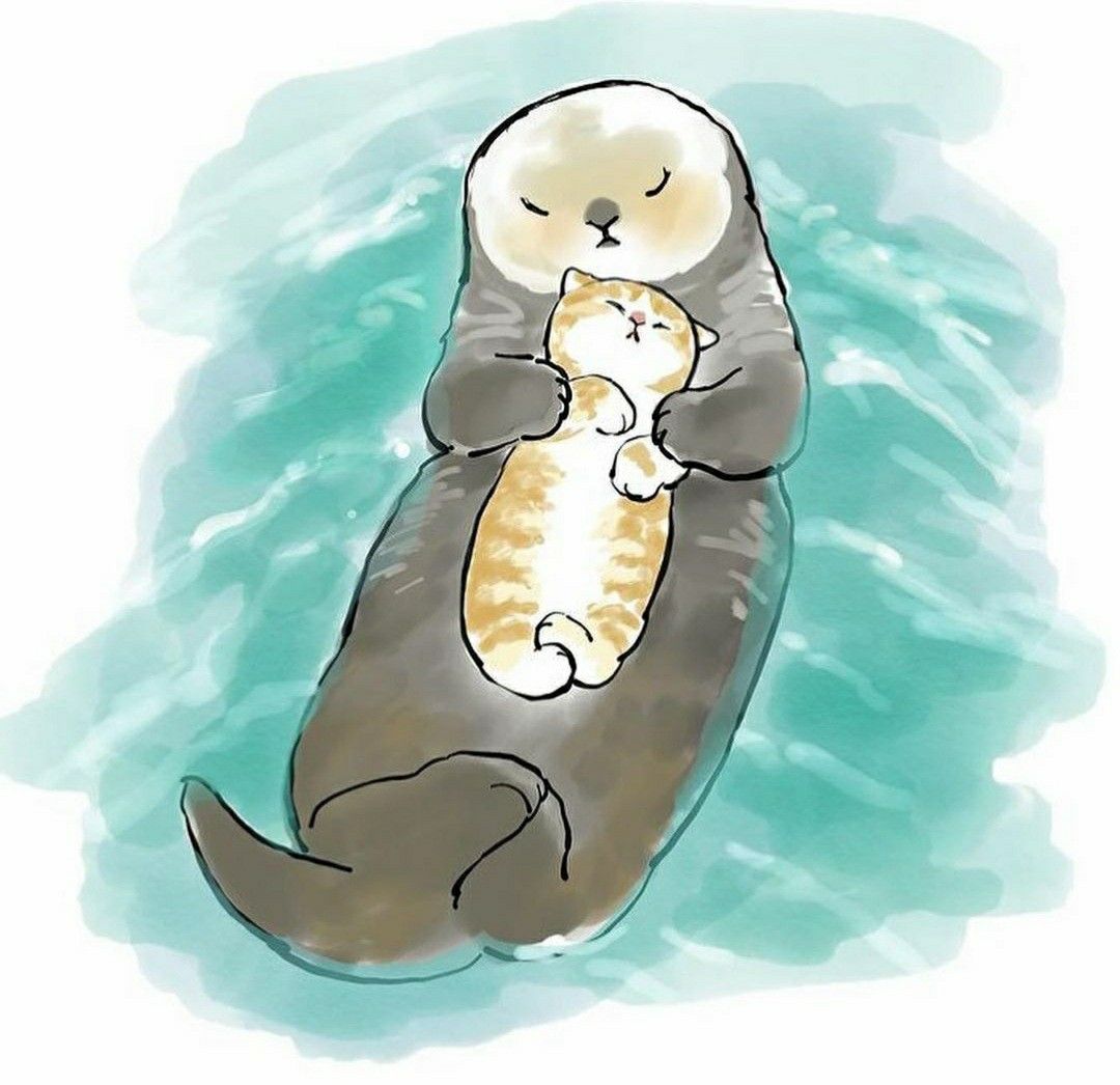 cute otter wallpapers 0078