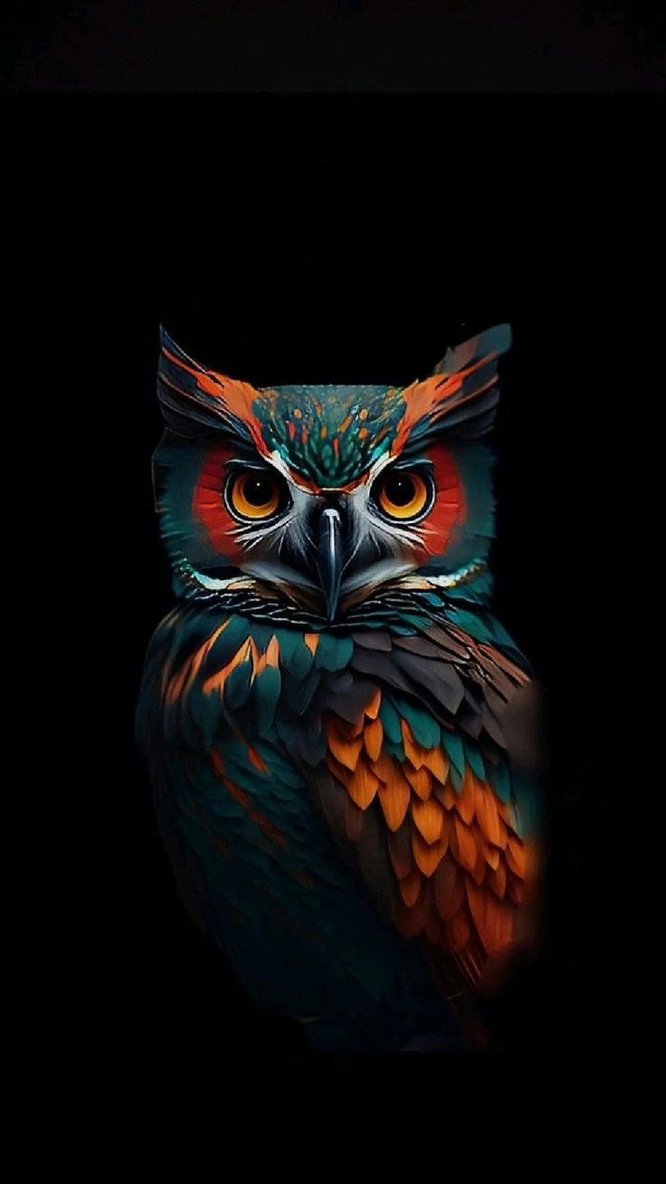 cute owl wallpapers 0082