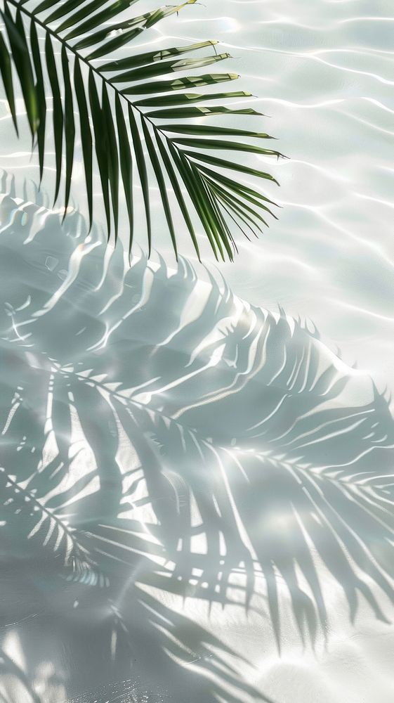 cute palm tree wallpapers 0042