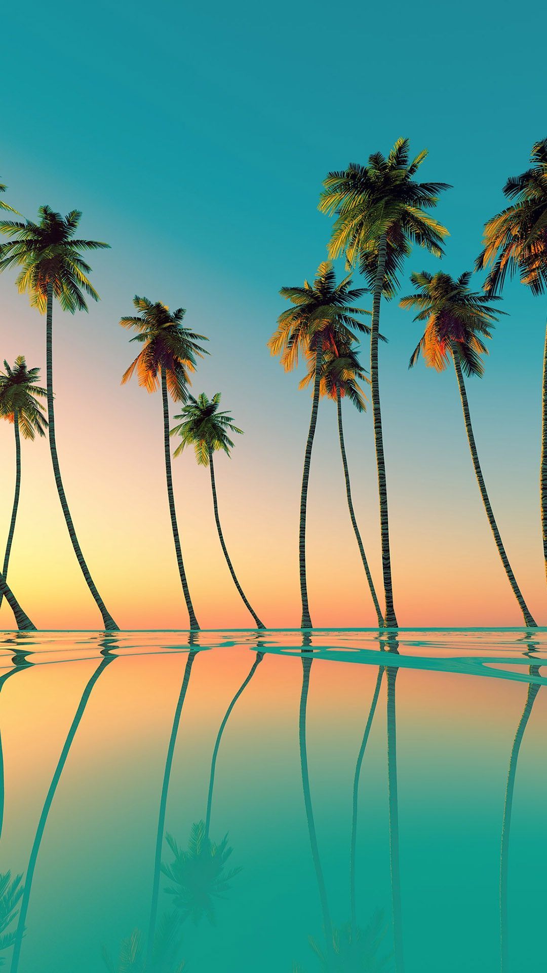 cute palm tree wallpapers 0080