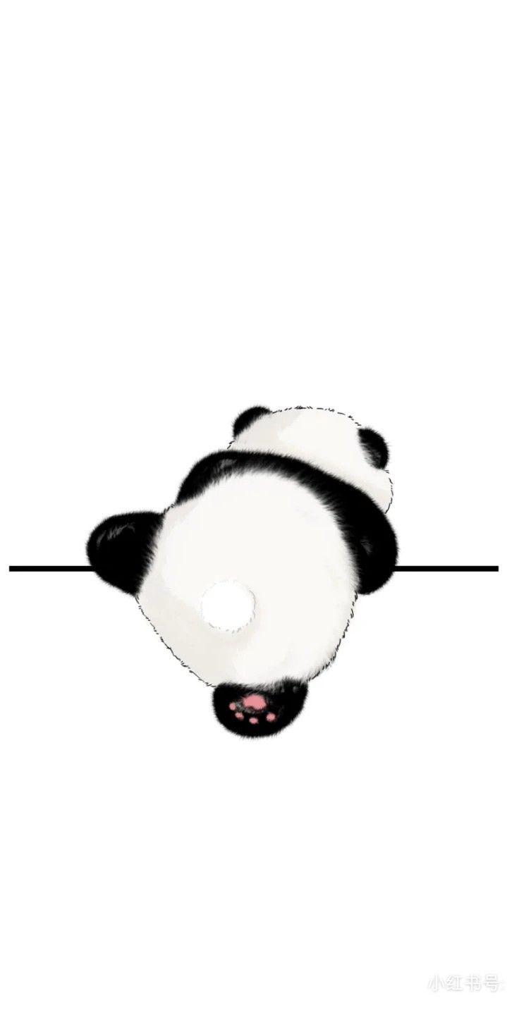 cute panda wallpapers 0013